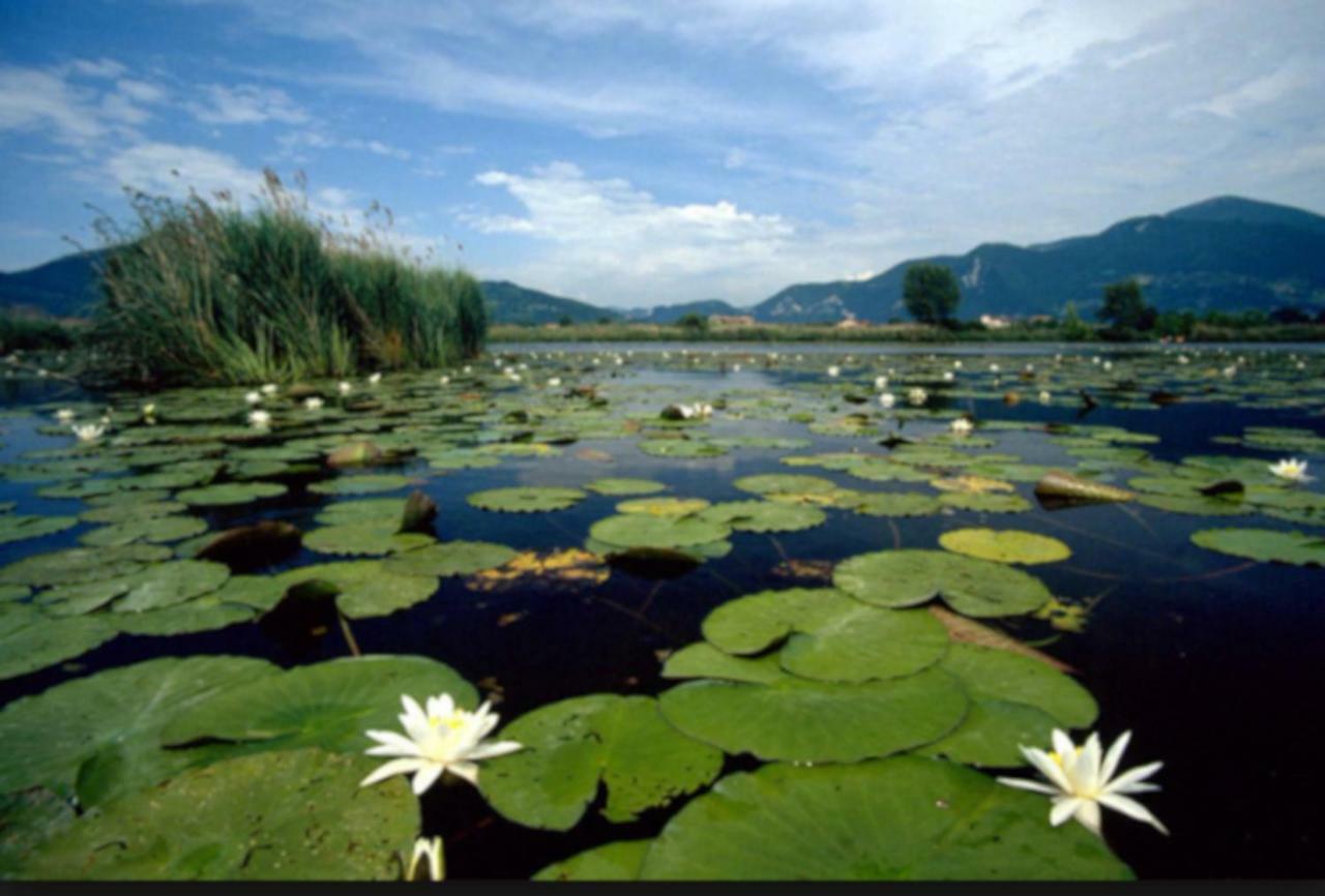 Iseo Lake Home Nature & Relax Bagian luar foto